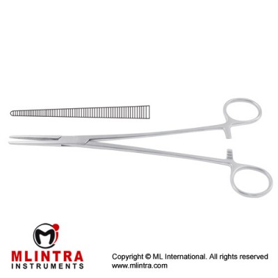Heiss Haemostatic Forceps Straight Stainless Steel, 21 cm - 8 1/4"